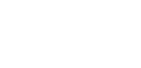 Bluezen AI